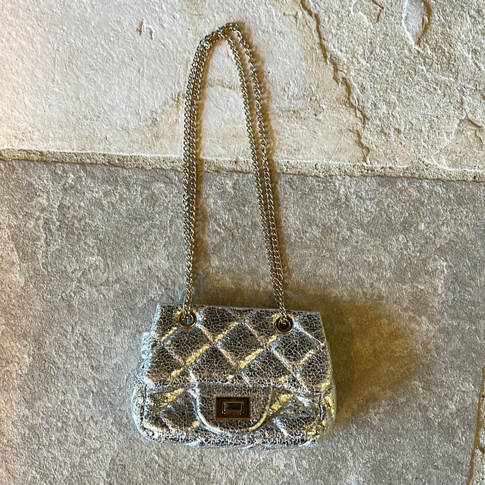 Chloe K purse. Silver